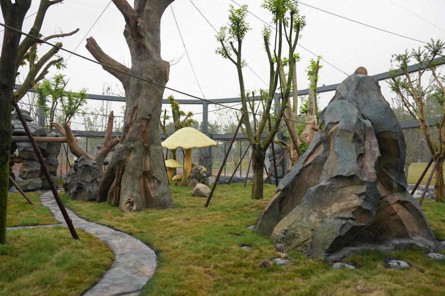 Nuova base per panda giganti entra in funzione in via sperimentale nella Cina sudoccidentale