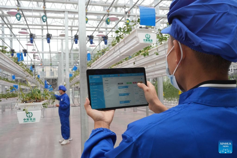 Parco agricolo intelligente alimentato da scienza e tecnologia entra in funzione a Zhuji, Zhejiang