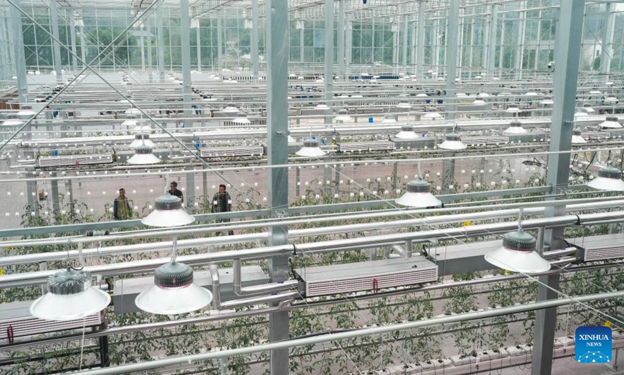 Parco agricolo intelligente alimentato da scienza e tecnologia entra in funzione a Zhuji, Zhejiang