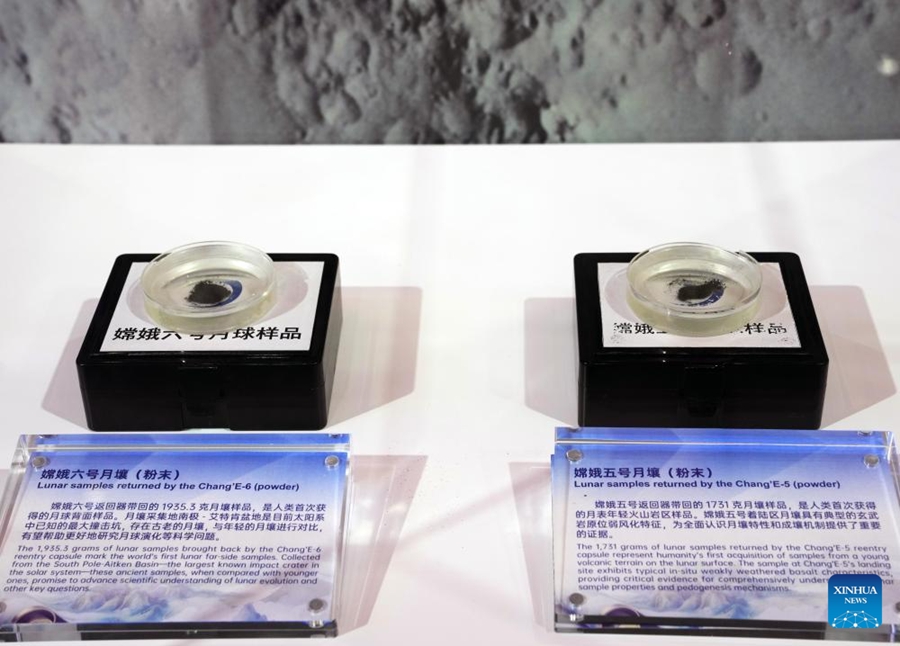 Fiori all'occhiello del Padiglione Cina all'ottava CIIE a Shanghai