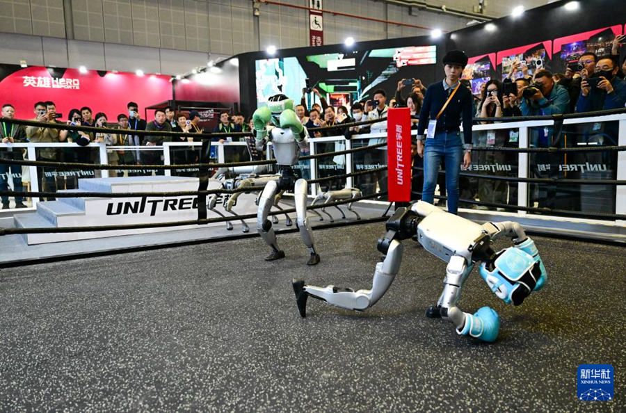 Robot umanoidi si esibiscono in combattimenti all'ottava CIIE