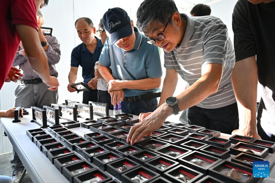 Scoperta tomba preistorica nella provincia insulare della Cina meridionale