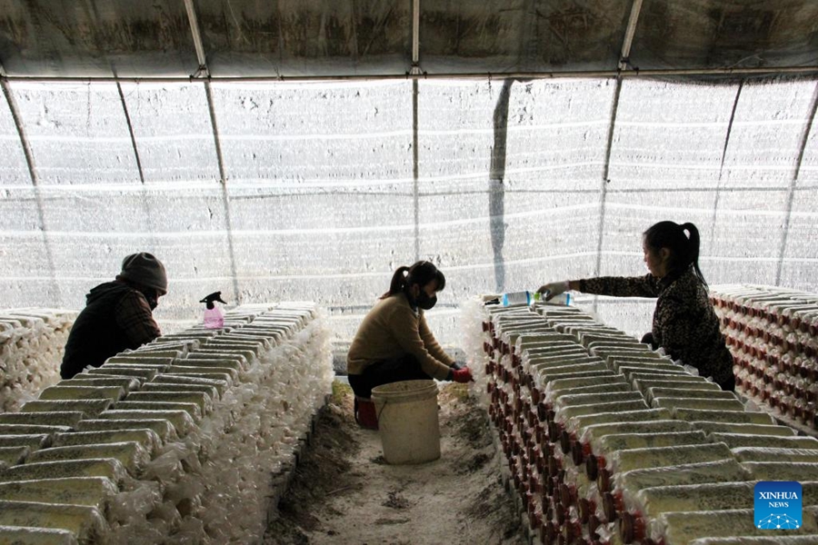 L'autostrada nazionale G331 della Cina porta vitalità all'area locale