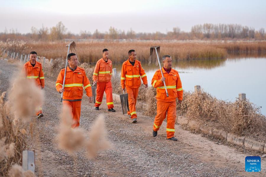 Ningxia, Parco Nazionale delle Zone Umide di Tianhewan diventa un paradiso per uccelli migratori