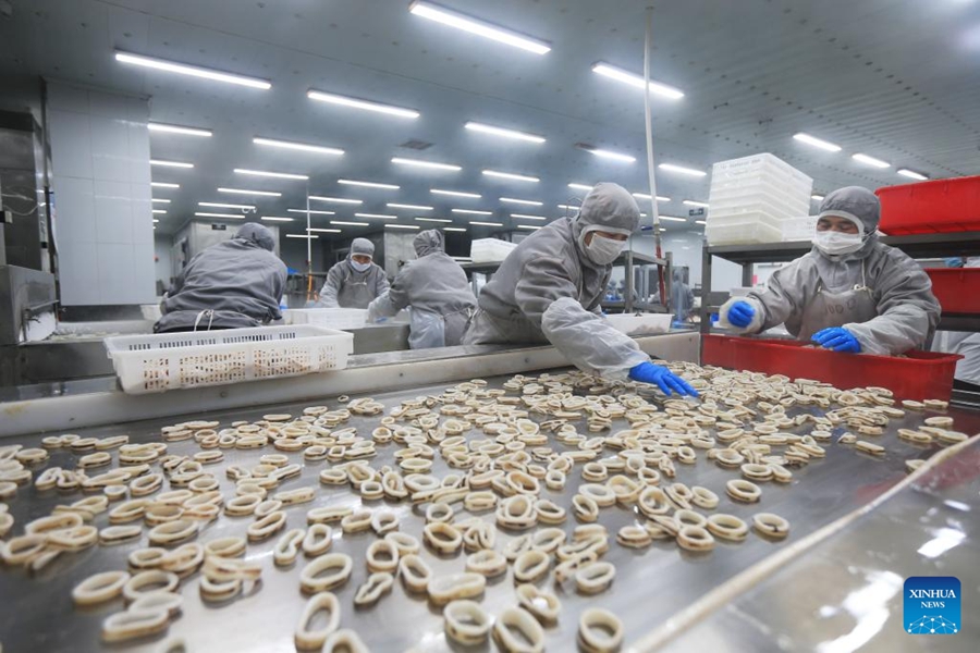 Economia della piscicoltura marina prospera nello Shandong