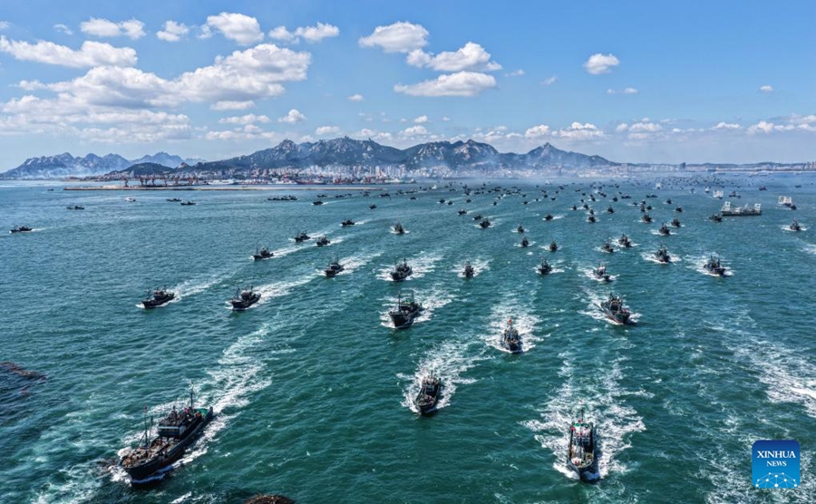 Economia della piscicoltura marina prospera nello Shandong