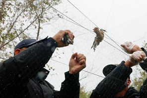 Squadra di volontari dedicata a proteggere la fauna selvatica nel bacino del fiume Songhua