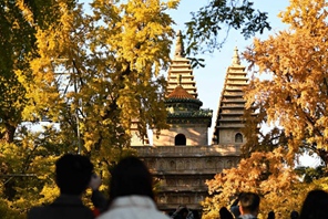 Museo d'Arte della Scultura in Pietra di Beijing attira numerosi turisti