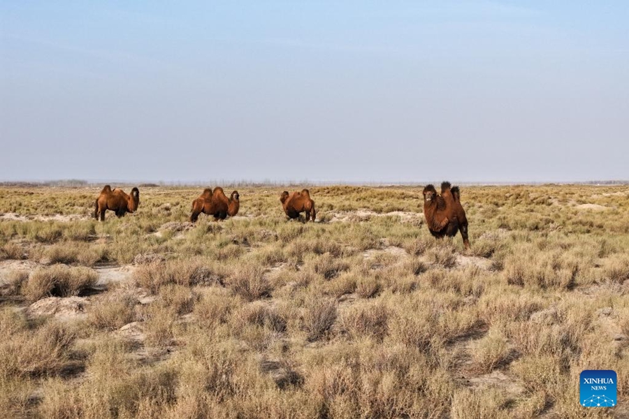 Rovine della città di Suoyang nel Gansu