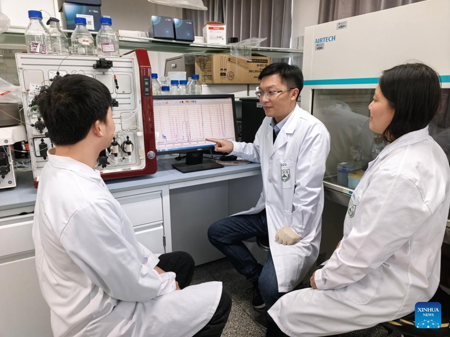 Il professor Wu Xilin (al centro) lavora con il suo team presso la Facoltà di Medicina dell'Università di Nanjing, nella provincia orientale cinese del Jiangsu. (20 novembre 2025 - Università di Nanjing/via Xinhua)