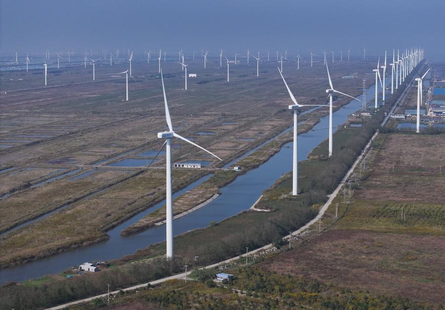 Turbine eoliche nella contea di Rudong, città di Nantong, nella provincia orientale cinese del Jiangsu. (3 novembre 2024 - Xinhua/Song Yanhua)