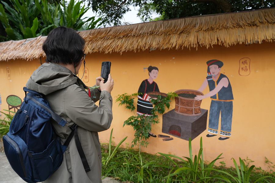 La cultura del tè biologico di Baisha attrae giornalisti stranieri