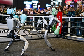 Robot umanoidi si esibiscono in combattimenti all'ottava CIIE