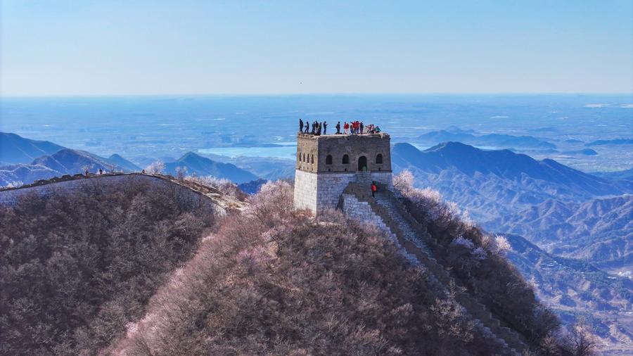 Sezione Jiankou della Grande Muraglia a Beijing, capitale della Cina. (5 aprile 2025 - Xinhua/Chen Yehua)