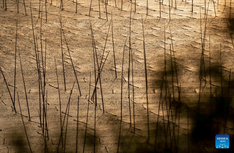 La contea di Xiapu integra attrazioni turistiche con lo sviluppo rurale