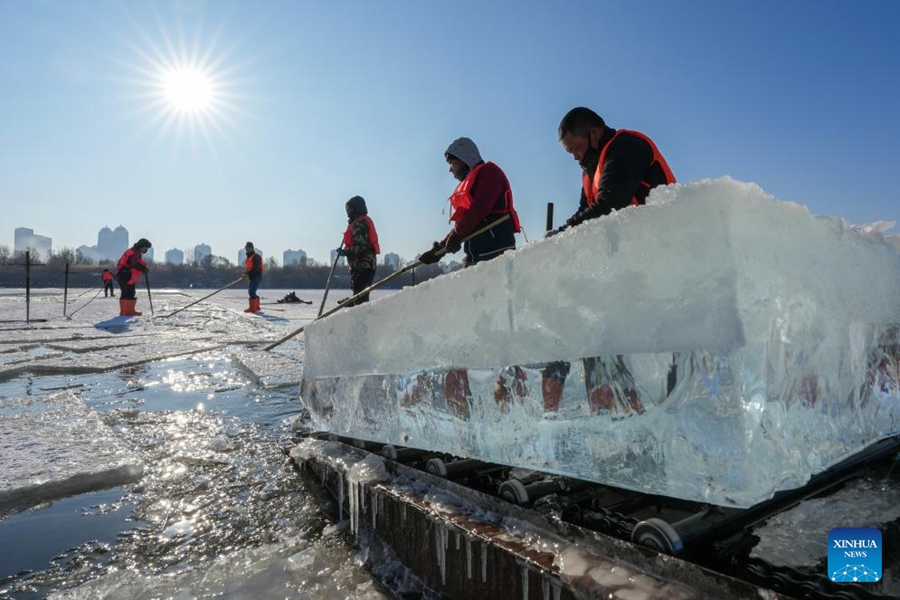 Raccolta del ghiaccio in corso sui tratti congelati del fiume Songhua a Harbin