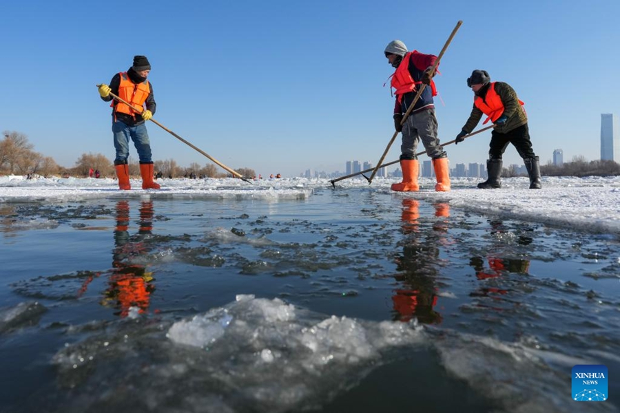 Raccolta del ghiaccio in corso sui tratti congelati del fiume Songhua a Harbin