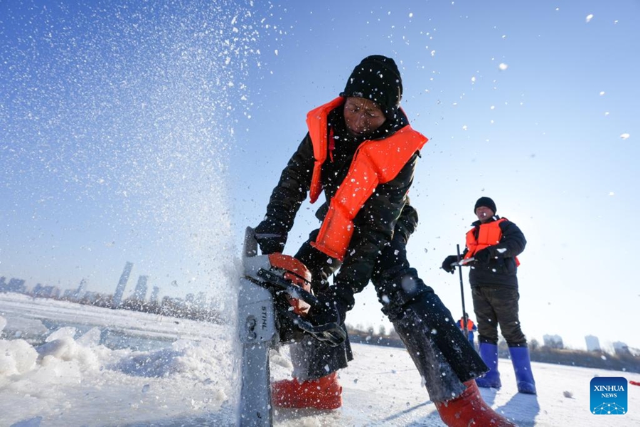 Raccolta del ghiaccio in corso sui tratti congelati del fiume Songhua a Harbin