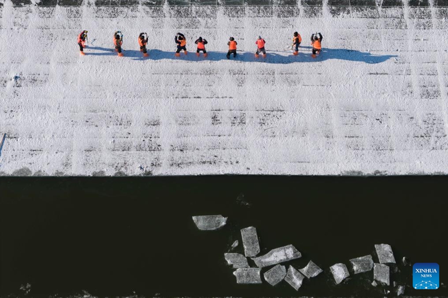 Raccolta del ghiaccio in corso sui tratti congelati del fiume Songhua a Harbin
