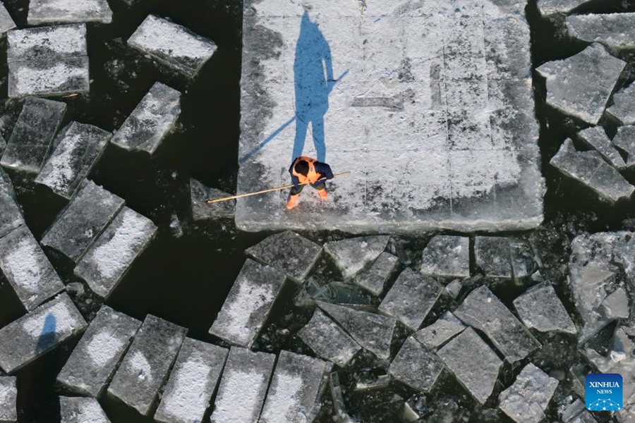 Raccolta del ghiaccio in corso sui tratti congelati del fiume Songhua a Harbin