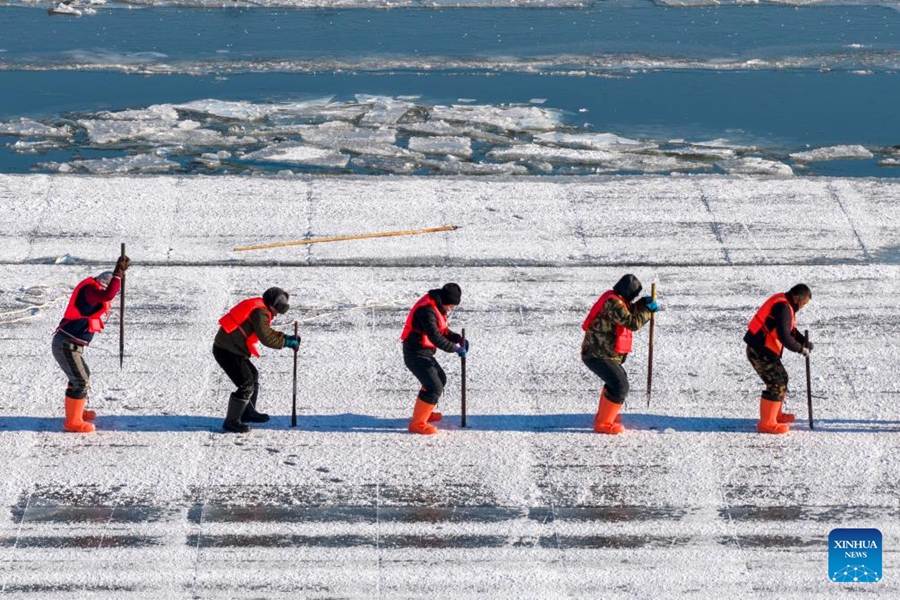 Raccolta del ghiaccio in corso sui tratti congelati del fiume Songhua a Harbin