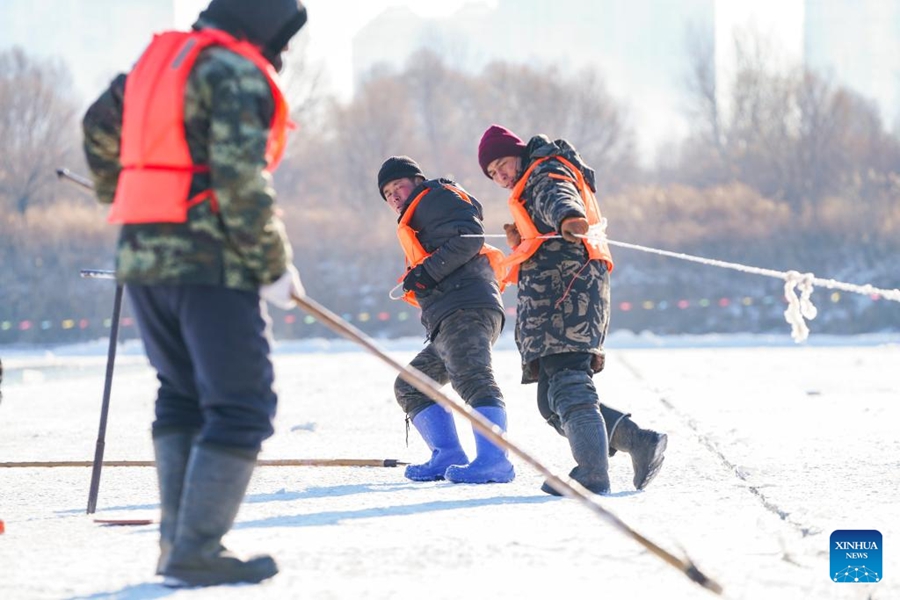 Raccolta del ghiaccio in corso sui tratti congelati del fiume Songhua a Harbin