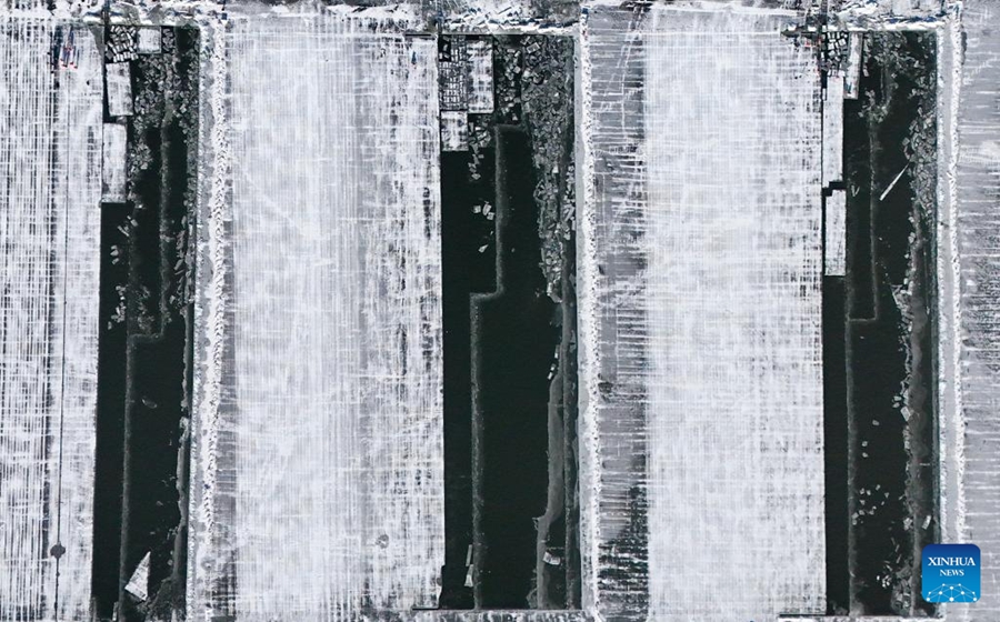 Raccolta del ghiaccio in corso sui tratti congelati del fiume Songhua a Harbin