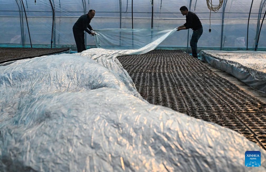 Misure preventive adottate mentre un fronte freddo attraversa la Cina settentrionale