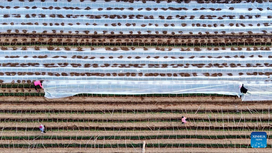 Misure preventive adottate mentre un fronte freddo attraversa la Cina settentrionale