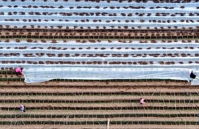 Misure preventive adottate mentre un fronte freddo attraversa la Cina settentrionale