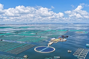 Economia della piscicoltura marina prospera nello Shandong