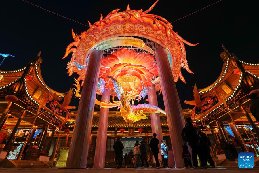 Lanterne decorative esposte a Nanjing per celebrare l'imminente anno nuovo