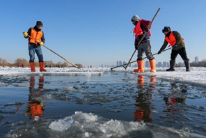 Raccolta del ghiaccio in corso sui tratti congelati del fiume Songhua a Harbin