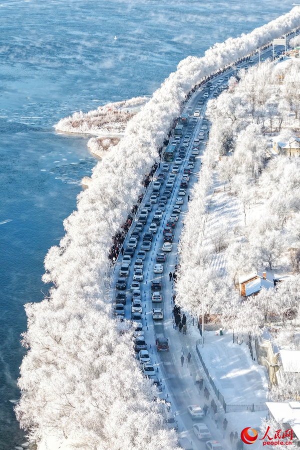 Jilin: Rami ghiacciati e alberi di giada, un pittoresco paesaggio di brina