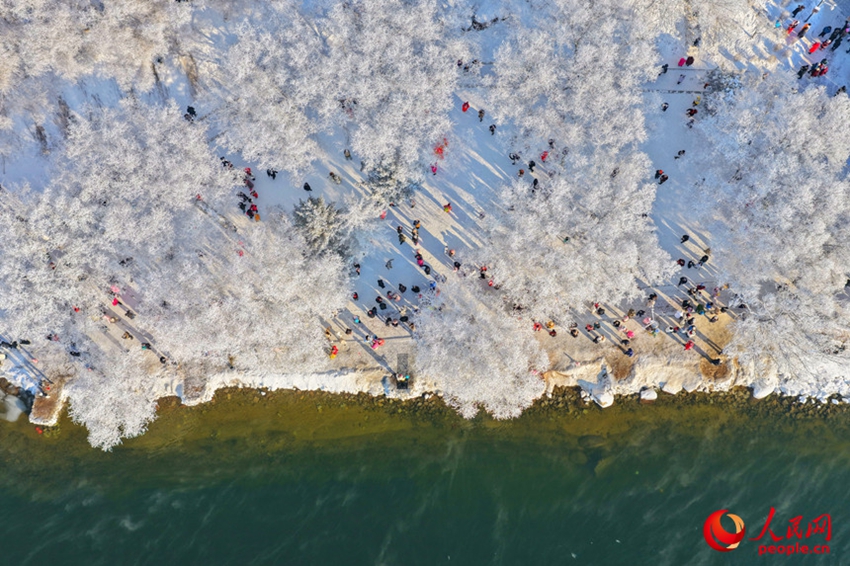 Jilin: Rami ghiacciati e alberi di giada, un pittoresco paesaggio di brina