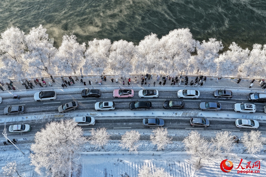 Jilin: Rami ghiacciati e alberi di giada, un pittoresco paesaggio di brina