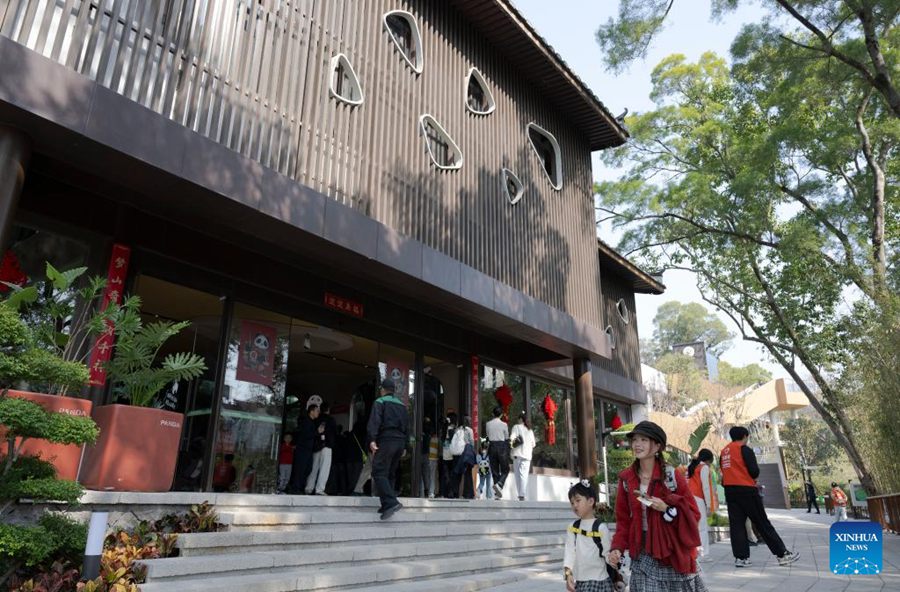 Cinque panda giganti incontrano il pubblico alla riapertura del Fuzhou Panda World