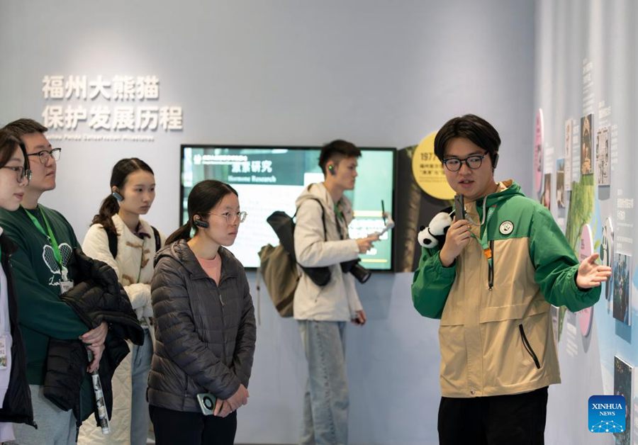 Cinque panda giganti incontrano il pubblico alla riapertura del Fuzhou Panda World