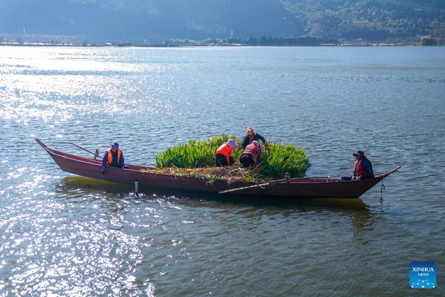 Yunnan, la qualità dell'acqua del Lago Dianchi mantiene un livello elevato