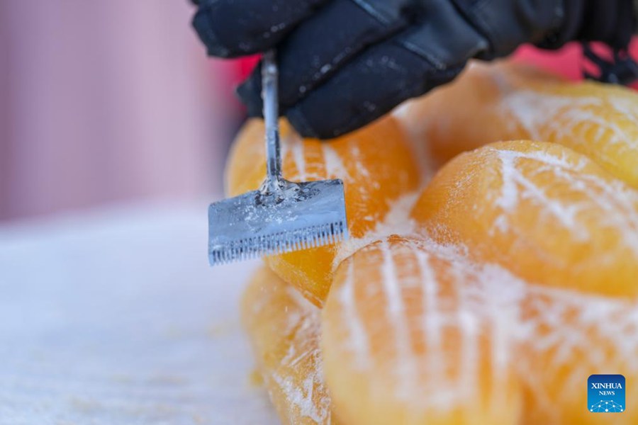 Sculture di ghiaccio tinte con pigmenti vegetali portano colore all'Harbin Ice and Snow World