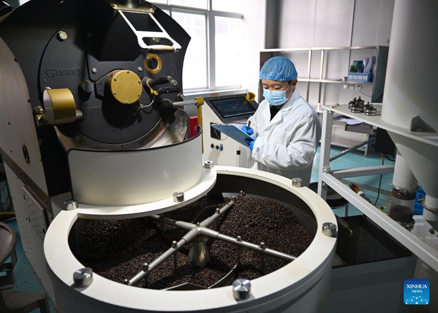 Puyang sviluppa un sistema di produzione di caffè a filiera completa