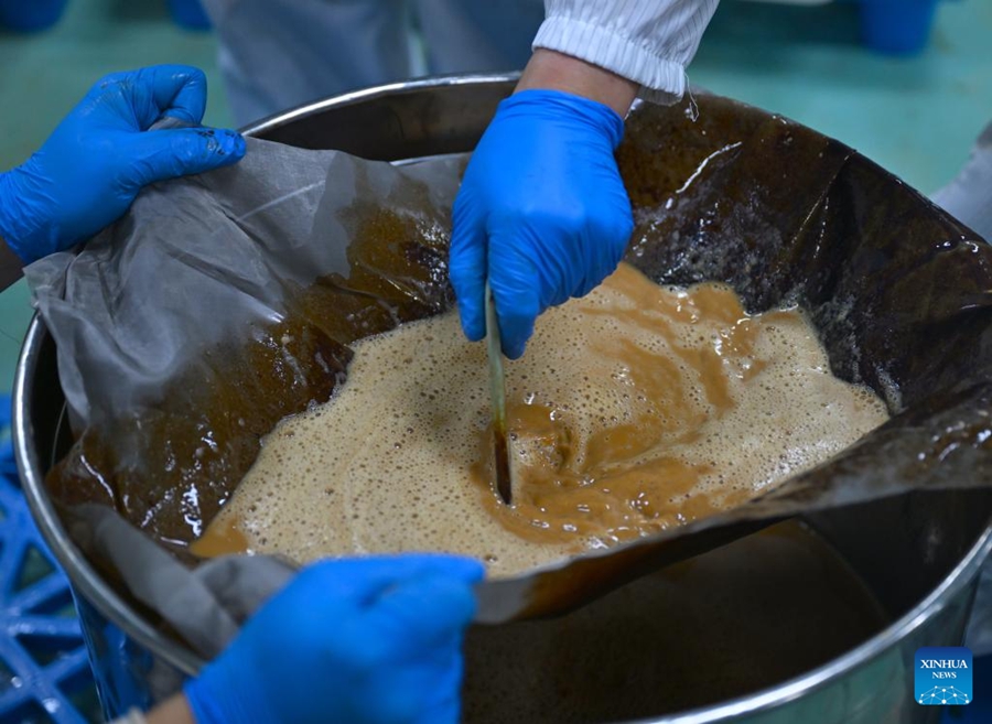 Puyang sviluppa un sistema di produzione di caffè a filiera completa