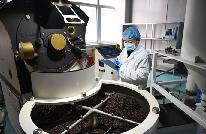 Puyang sviluppa un sistema di produzione di caffè a filiera completa