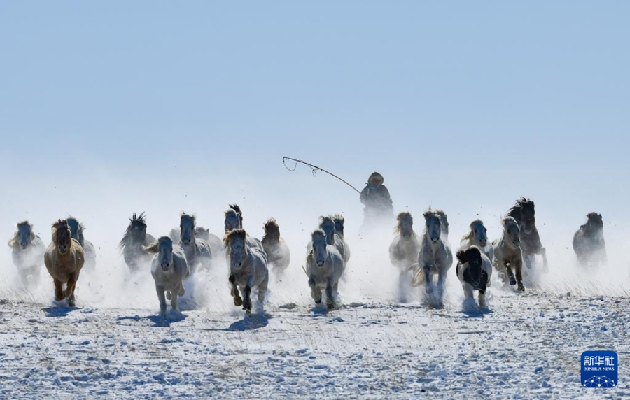 Al galoppo nella neve verso l'Anno del Cavallo