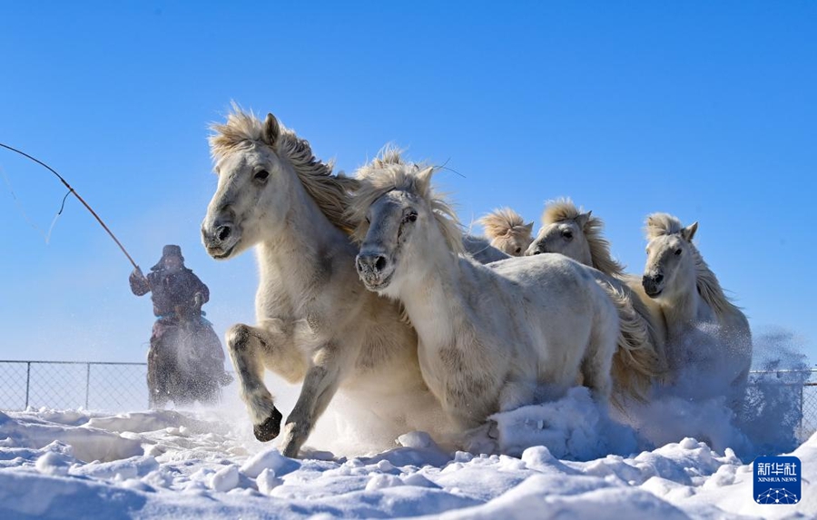 Al galoppo nella neve verso l'Anno del Cavallo