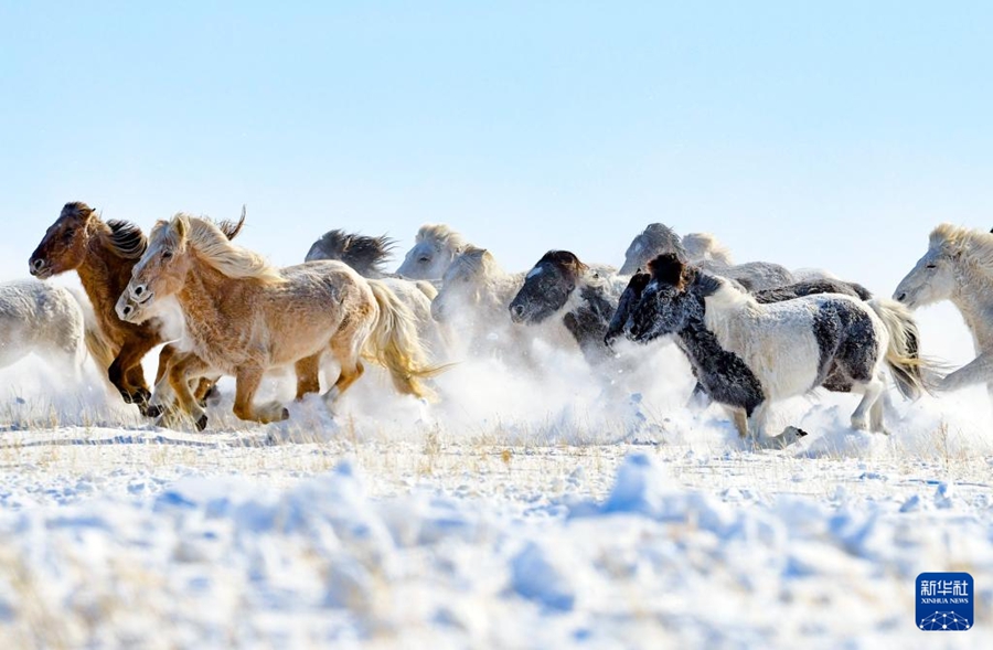 Al galoppo nella neve verso l'Anno del Cavallo