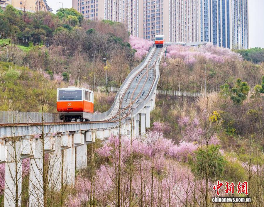 Chongqing: entra in funzione la romantica funivia che attraversa le montagne primaverili