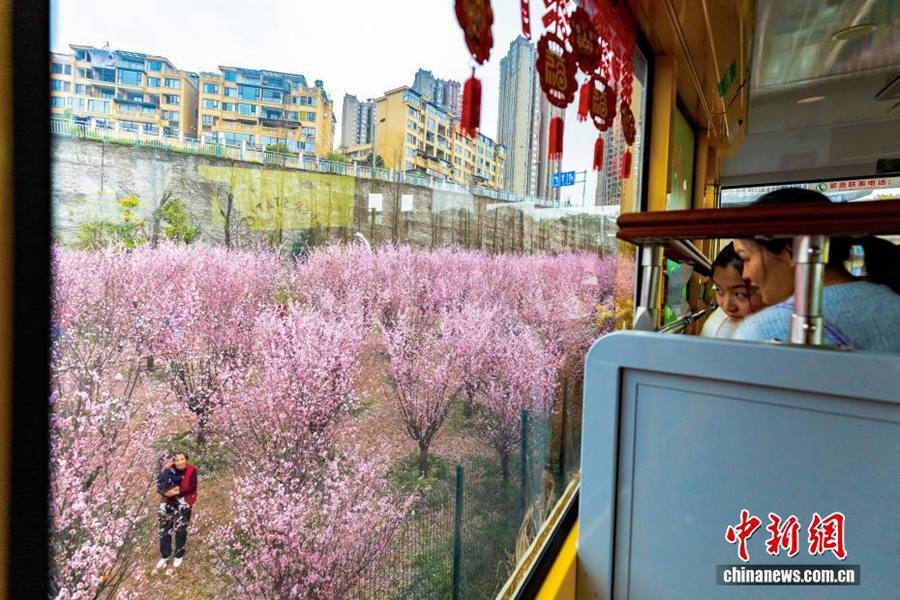 Chongqing: entra in funzione la romantica funivia che attraversa le montagne primaverili