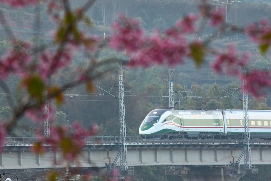 Un treno ad alta velocità percorre una sezione della ferrovia Cina-Laos nella città di Jinghong, nella provincia sud-occidentale dello Yunnan, Cina meridionale. (25 gennaio 2026 - Li Yunsheng/Xinhua)