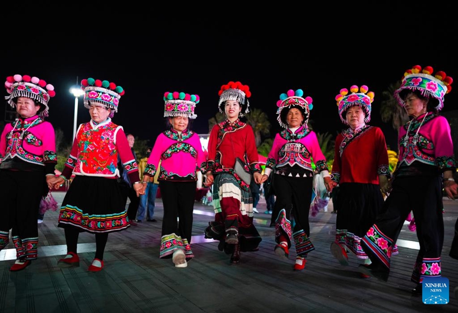 Deputata dell'Assemblea Popolare Nazionale modernizza l'antico ricamo Yi